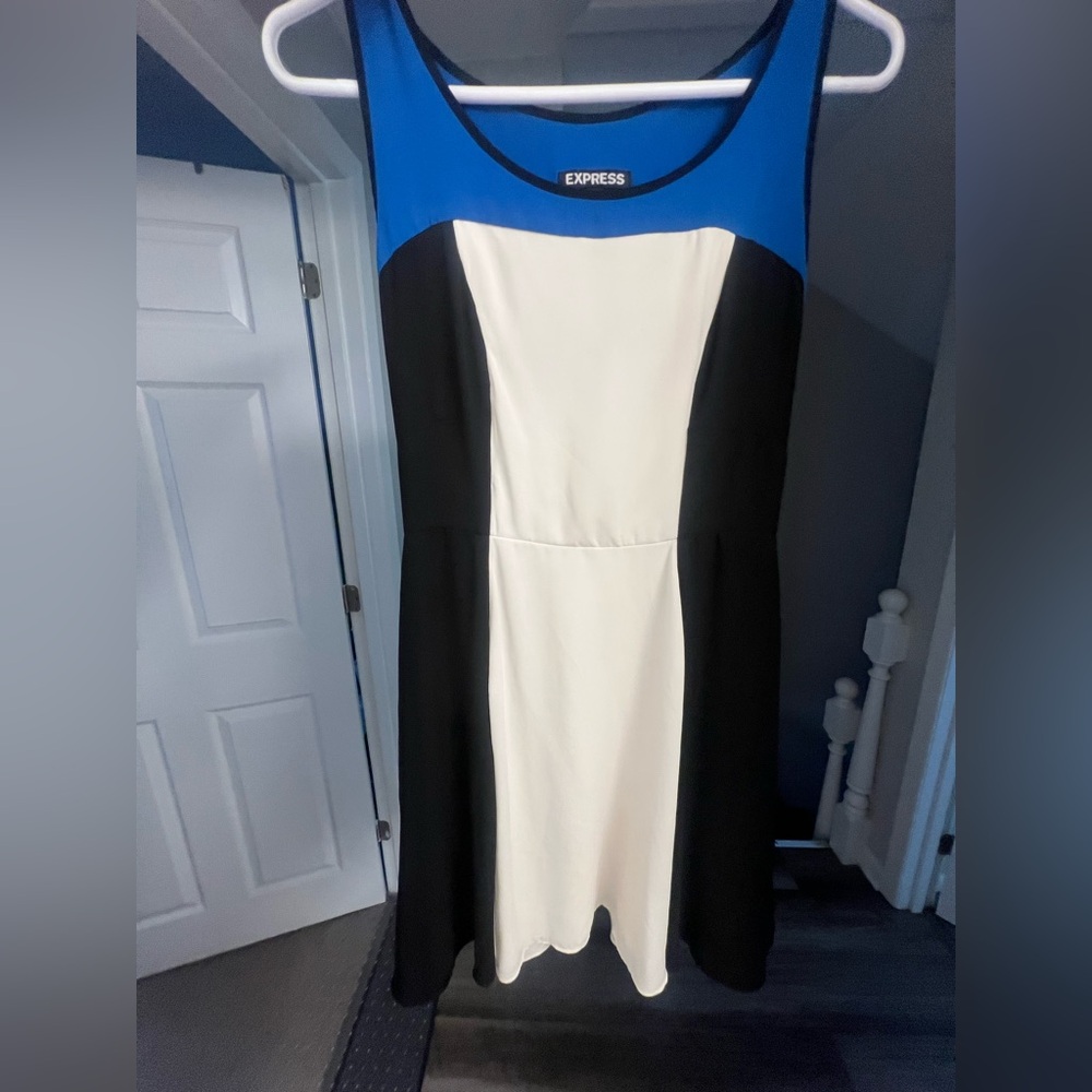 Express Colorblock Dress